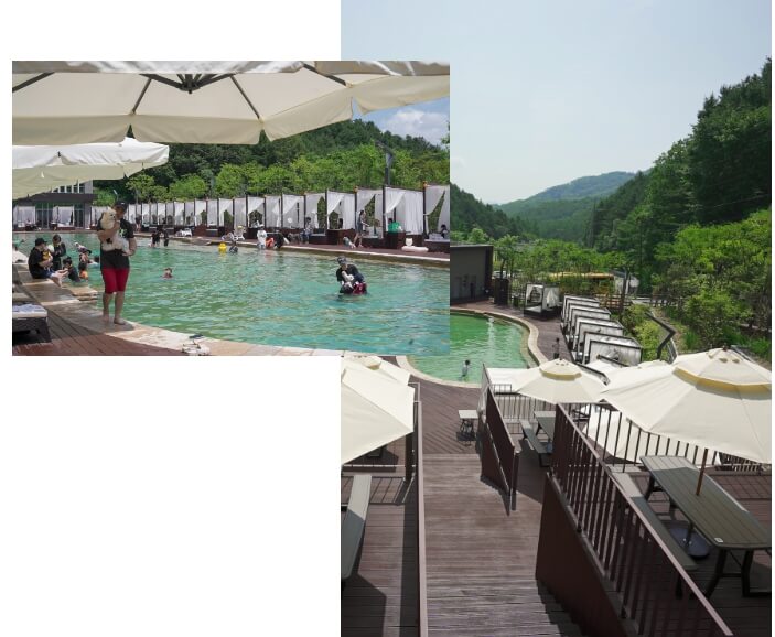 네이처풀 전경
