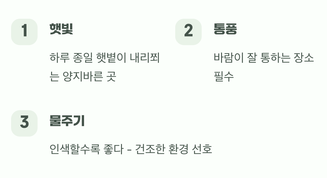 햇살과 바람을 사랑하는 아이