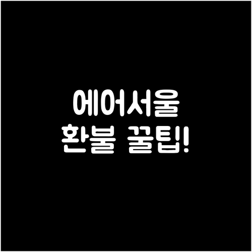 에어서울 항공권 취소 수수료와 환불 ..