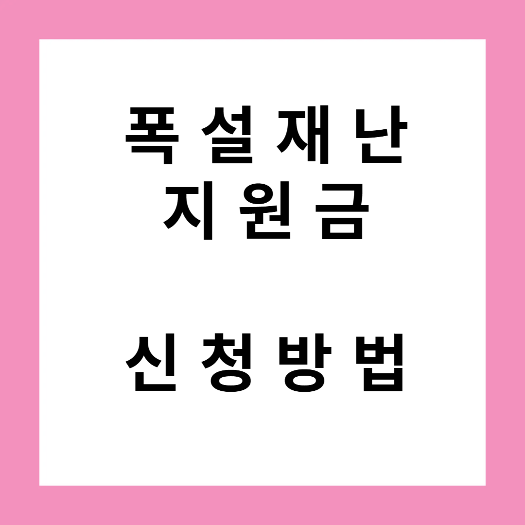 폭설재난지원금