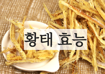 황태 효능