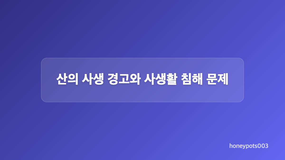 밀라노 동행 영상에서 확인된 내용
