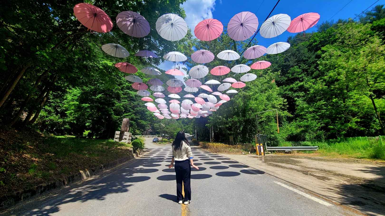 두위봉 철쭉제 산맥 페스티벌