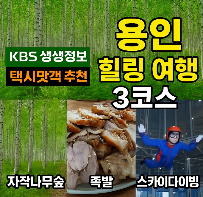 생생정보 택시맛객 용인여행 용인자작나무숲 봄꽃축제 실내스카이다이빙체험 족발맛집 평원집