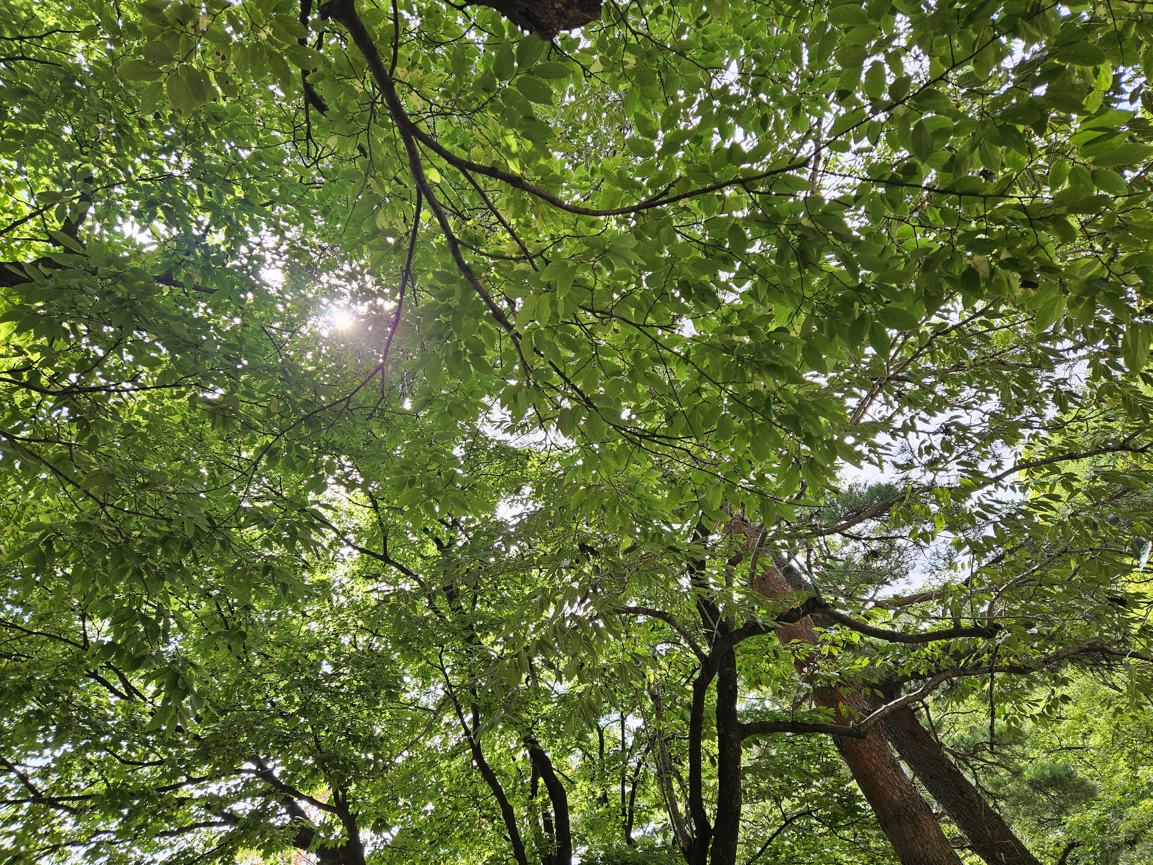 설악산
울산바위
흔들바위
신흥사
강원도 고성군
강원도 속초시
고성군 경동대학교
고성군 토성면 봉포리
돌탑쌓기