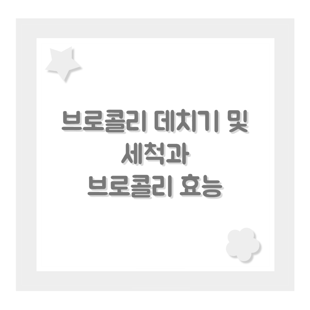 브로콜리 데치기 및 세척과 브로콜리 효능