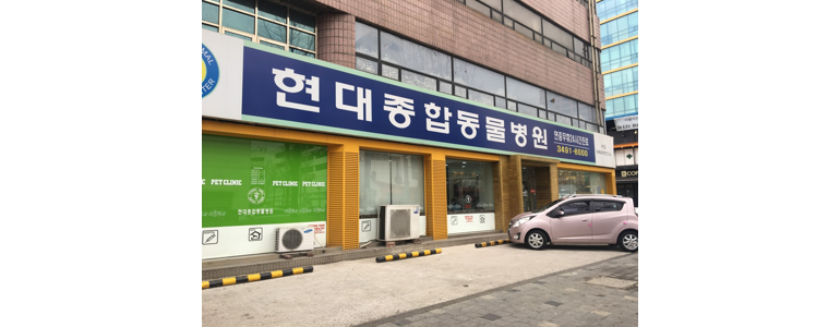 서울 도봉구 동물병원