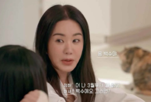 화사 서울체크인