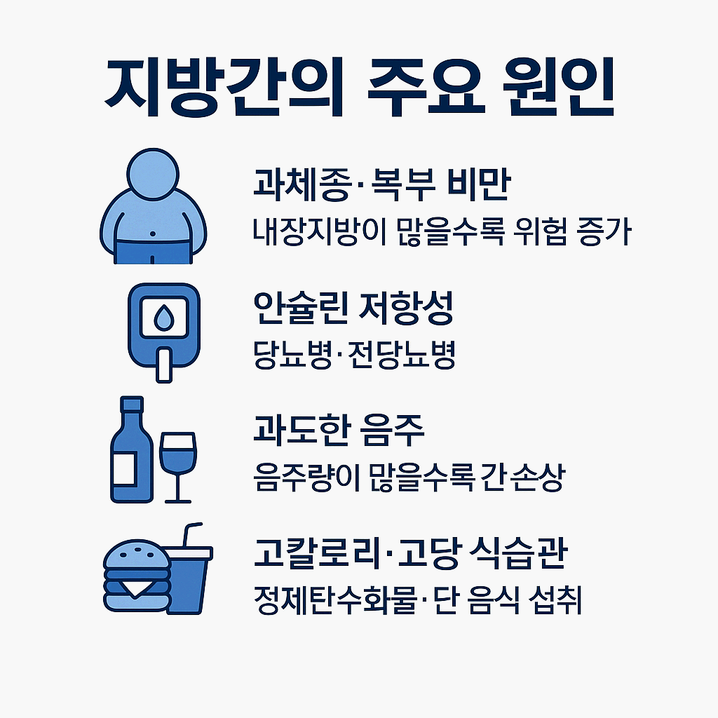 지방간 원인