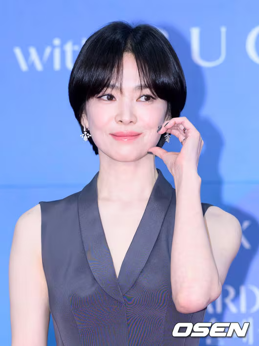 송혜교 정치 소신 논란