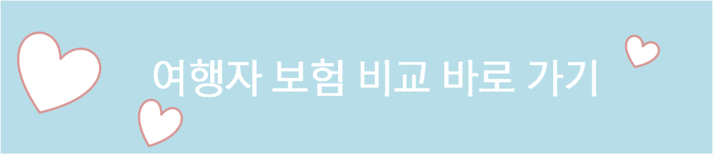 여행자 보험 비교 바로 가기