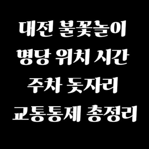 대전-불꽃놀이-명당-위치-시간-주차-돗자리-교통통제-총정리