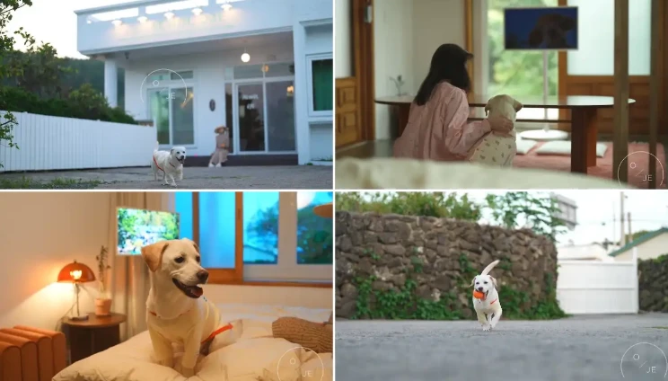 애월오제 숙소 사진