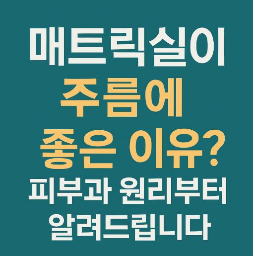 매트릭실 관련 사진