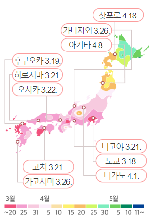 일본 벚꽃 개화시기