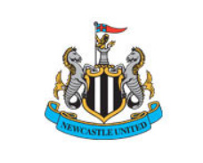 알트태그-뉴캐슬 로고