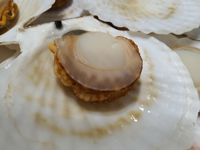 잘익은-가리비살