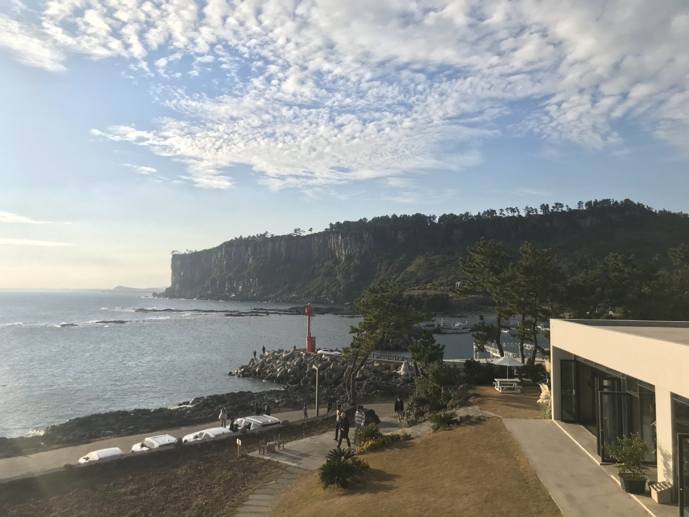 카페 루이아 전경