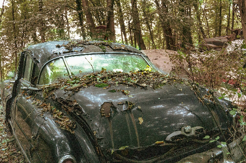 조기폐차지원금 신청