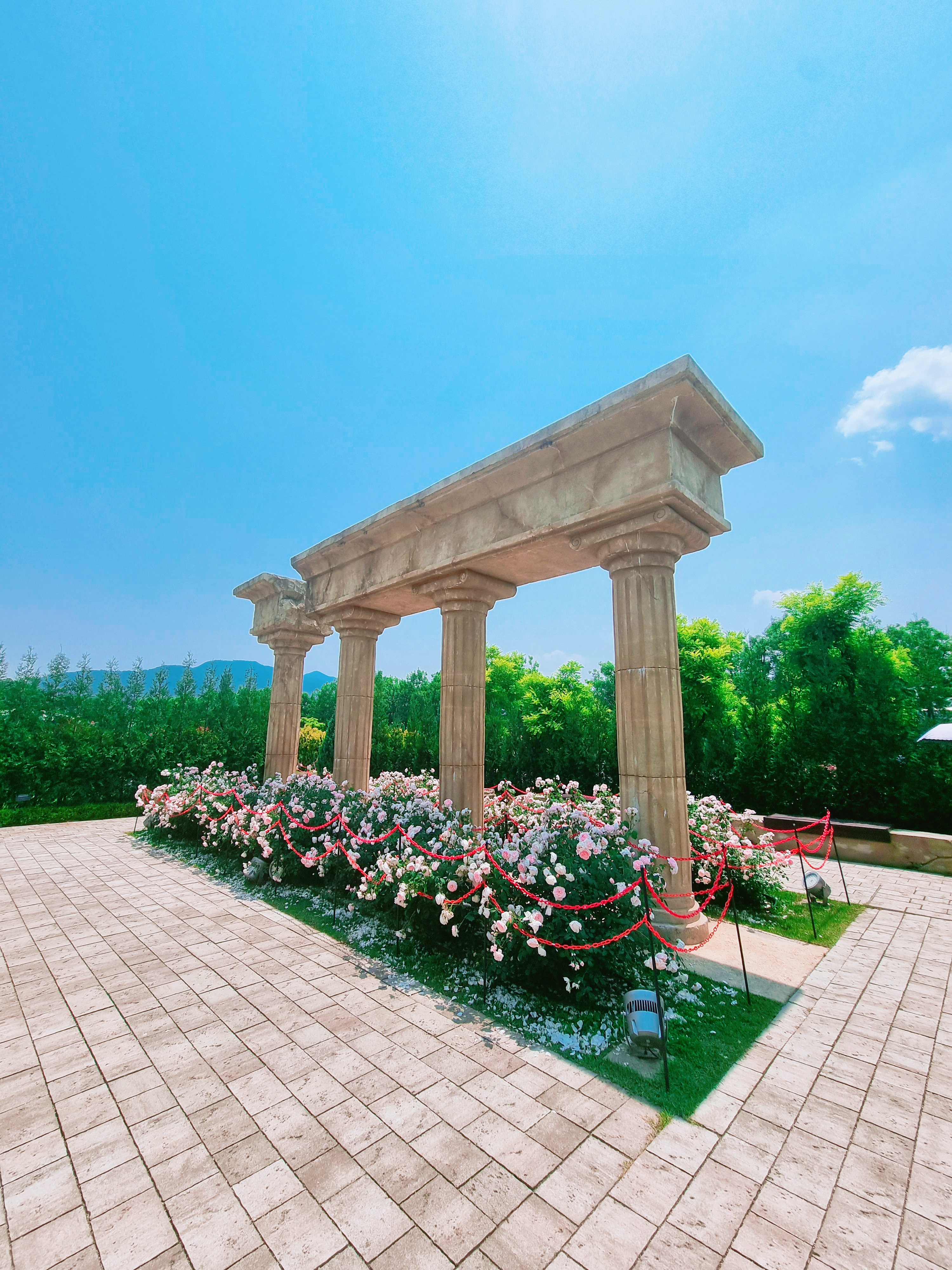 곡성 기차마을 장미공원 사진