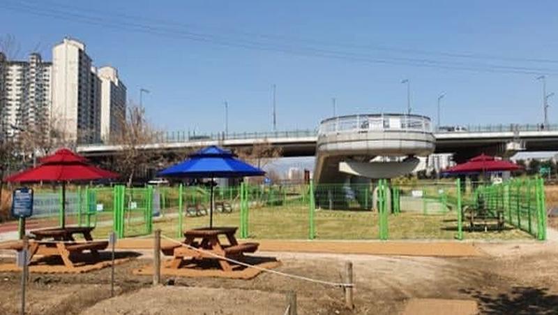 동대문구반려견놀이터