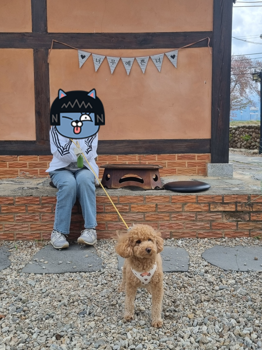 설악산로 외부 반려견 동반 가능