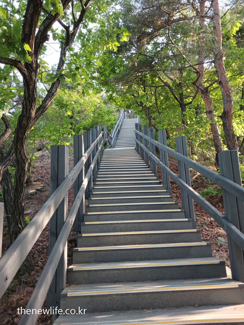 &ldquo;Endless uphill stairs through the forest at Achasan &ndash; a real-life stair climbing workout route&rdquo;-&ldquo;숲속을 향해 끝없이 이어지는 아차산 오르막 계단 &ndash; 계단오르기 운동효과 실천 코스&rdquo;