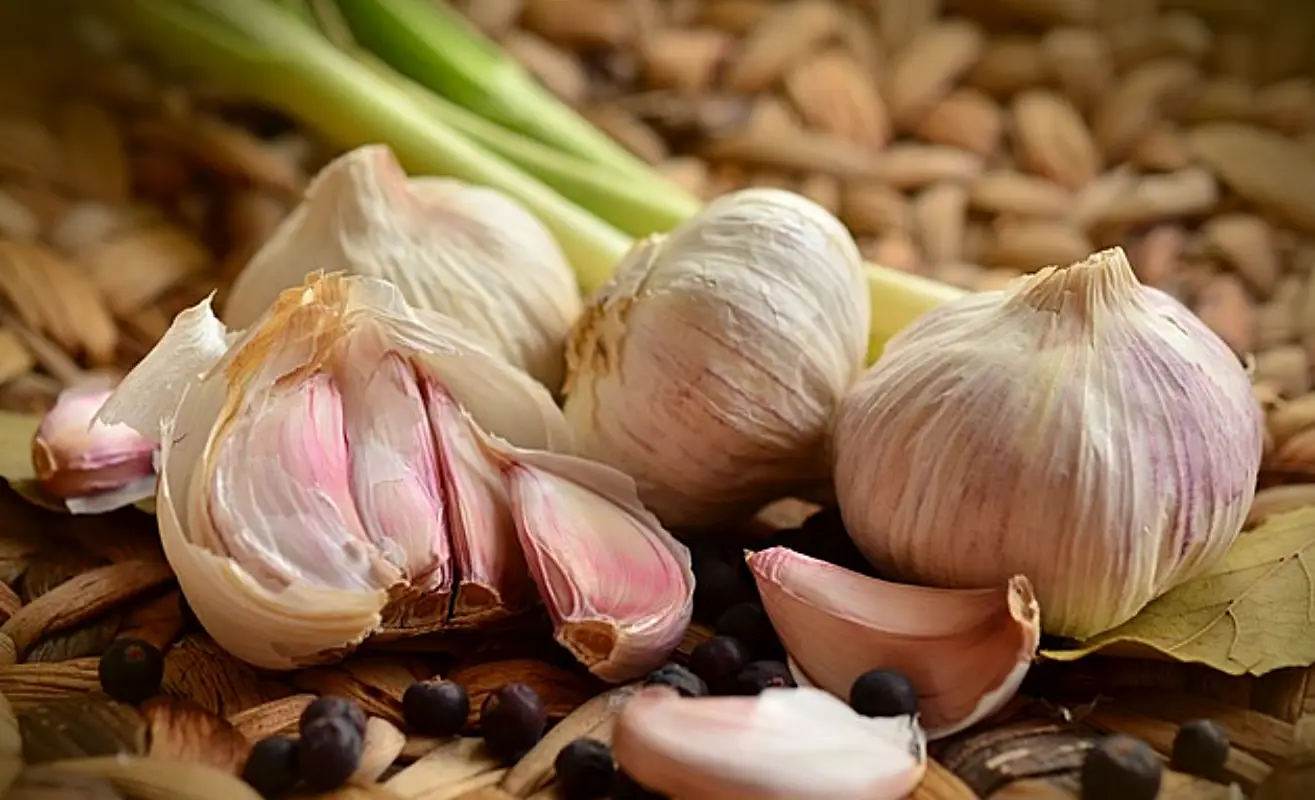 마늘장아찌 담그는법