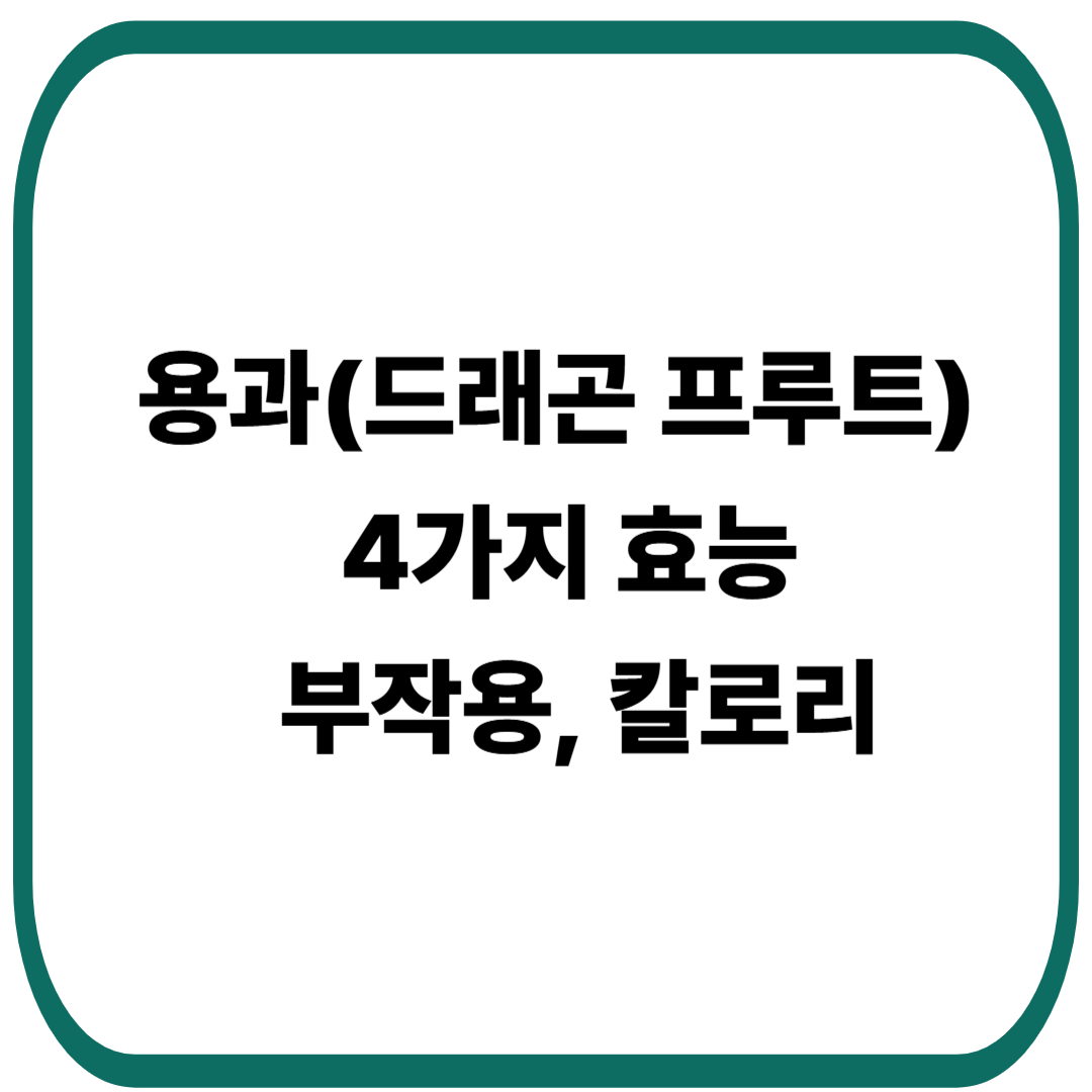 용과(드래곤 프루트) 4가지 효능과 부작용, 칼로리
