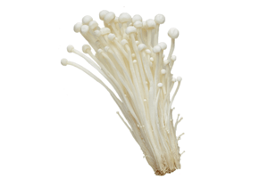 팽이버섯 효능02