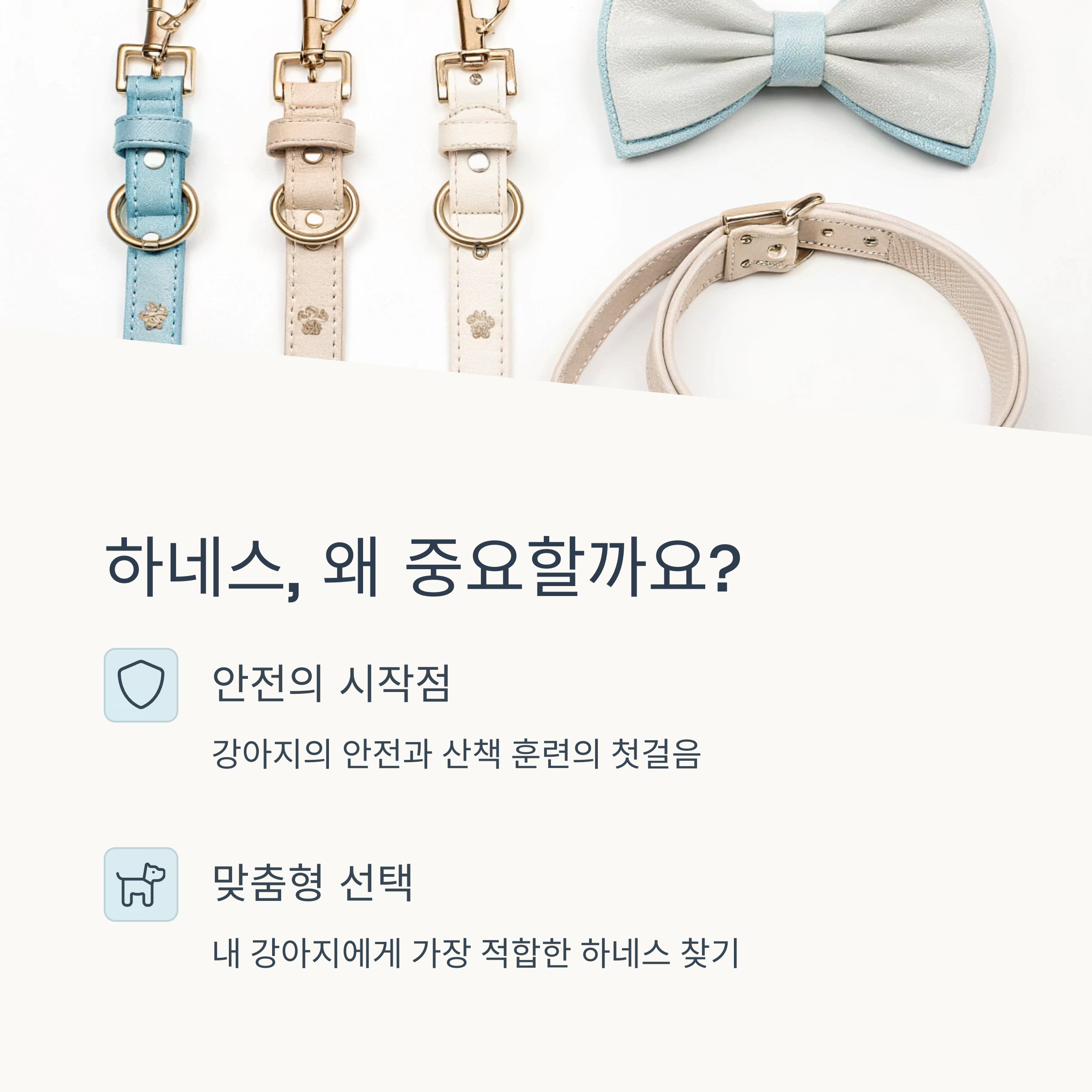 하네스, 왜 중요할까요?