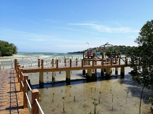 보라카이 여행 추천 루구탄 맹그로브 공원