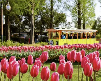 순천만 국가정원_35