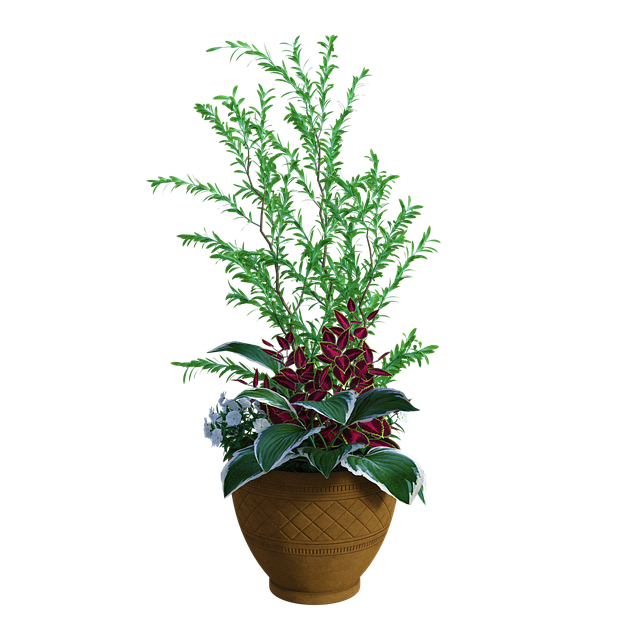 튤립 키우는 법 봄에 어울리는 튤립 기르기