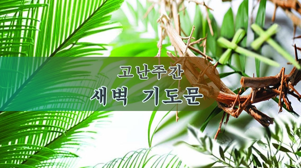 고난주간 새벽 기도문