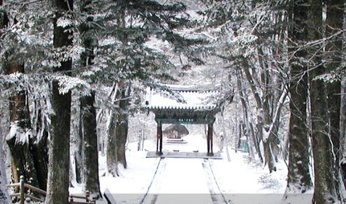 황매산 철쭉축제 인근 맛집, 여행코스 추천 2025 총정리