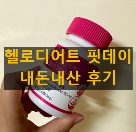 헬로디어트 핏데이