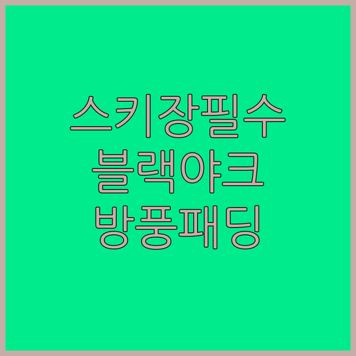 눈썰매 스키장 필수품 블랙야크키즈 아..