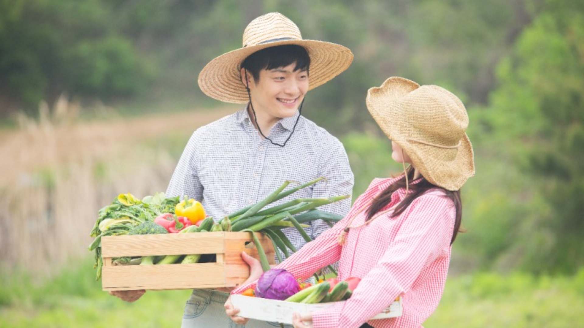 공익직불금 신청 방법 (신청자격, 지급시기)