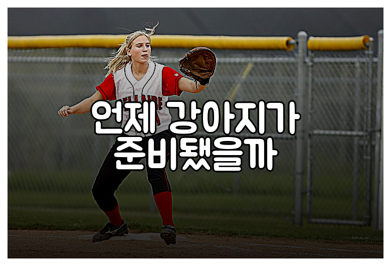 언제 강아지가 준비됐을까