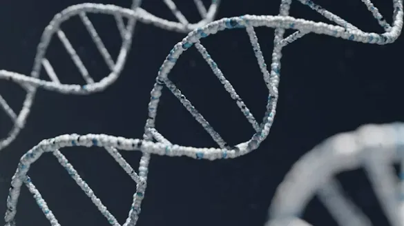 DNA