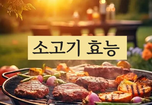 소고기 효능