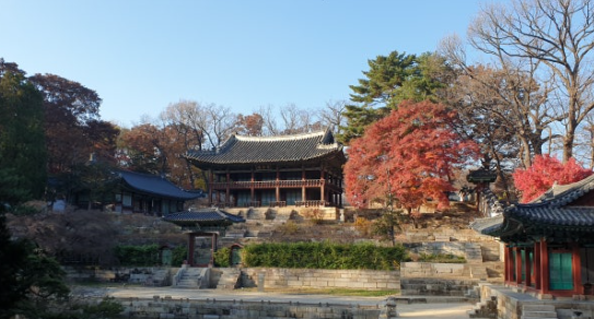 창경궁 후원 관람예약