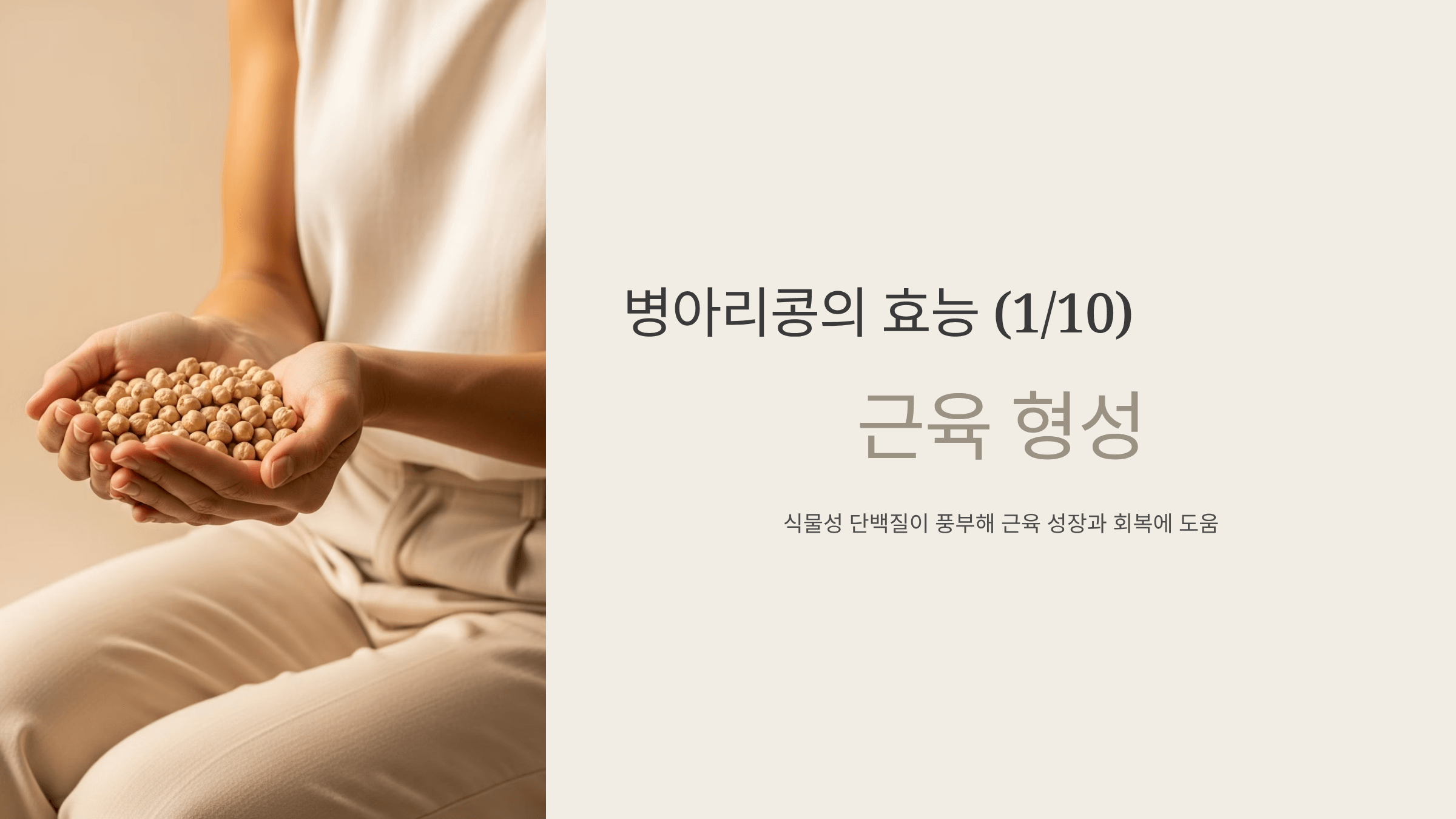 병아리콩 사진입니다.