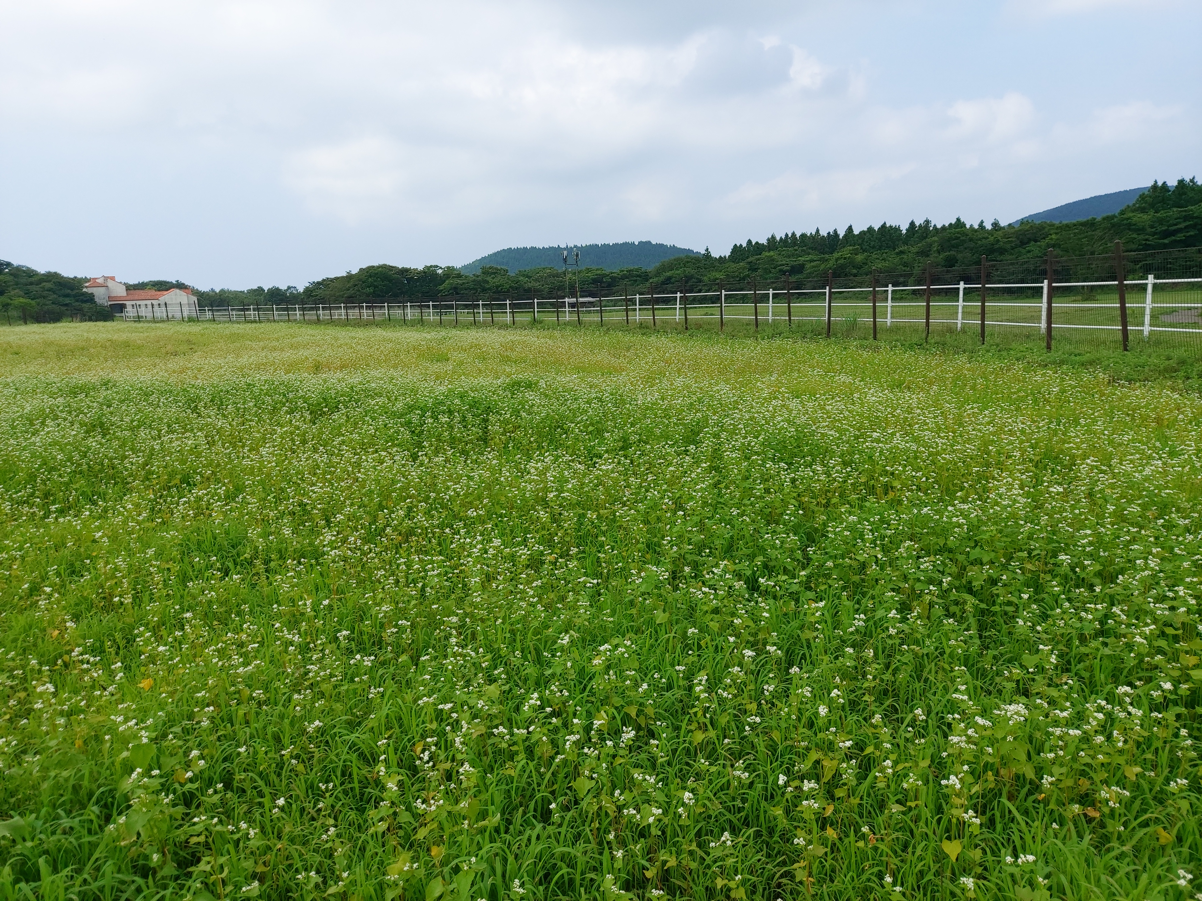 제주에코랜드테마파크