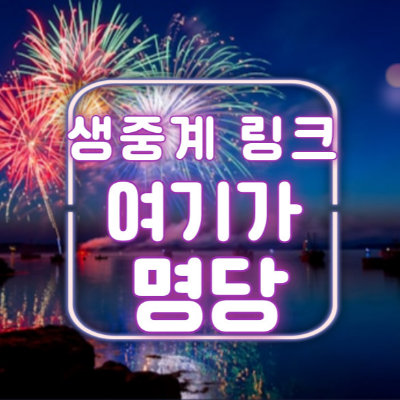 여의도 불꽃축제 2024 라이브 중계 링크