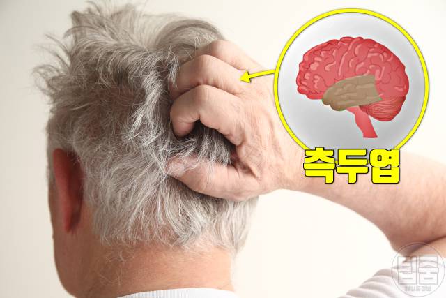 뇌에 피가 부족할때 증상 피가부족한증상 뇌혈류장애 건망증