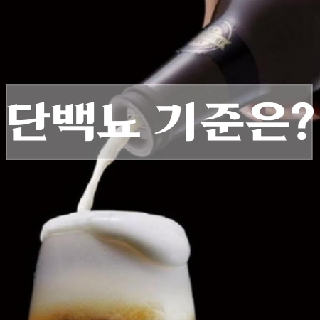 단백뇨의-원인