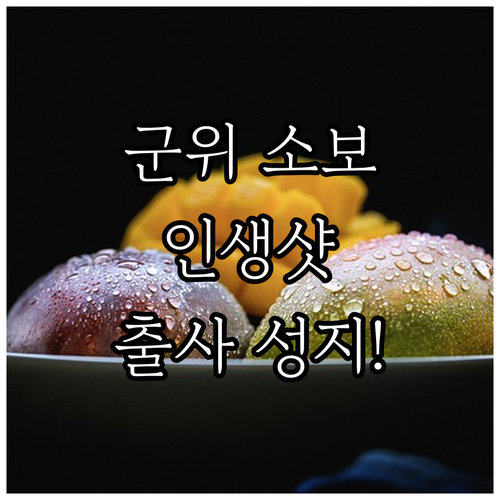 군위 소보면 근처 숙소 리스트와 인생..