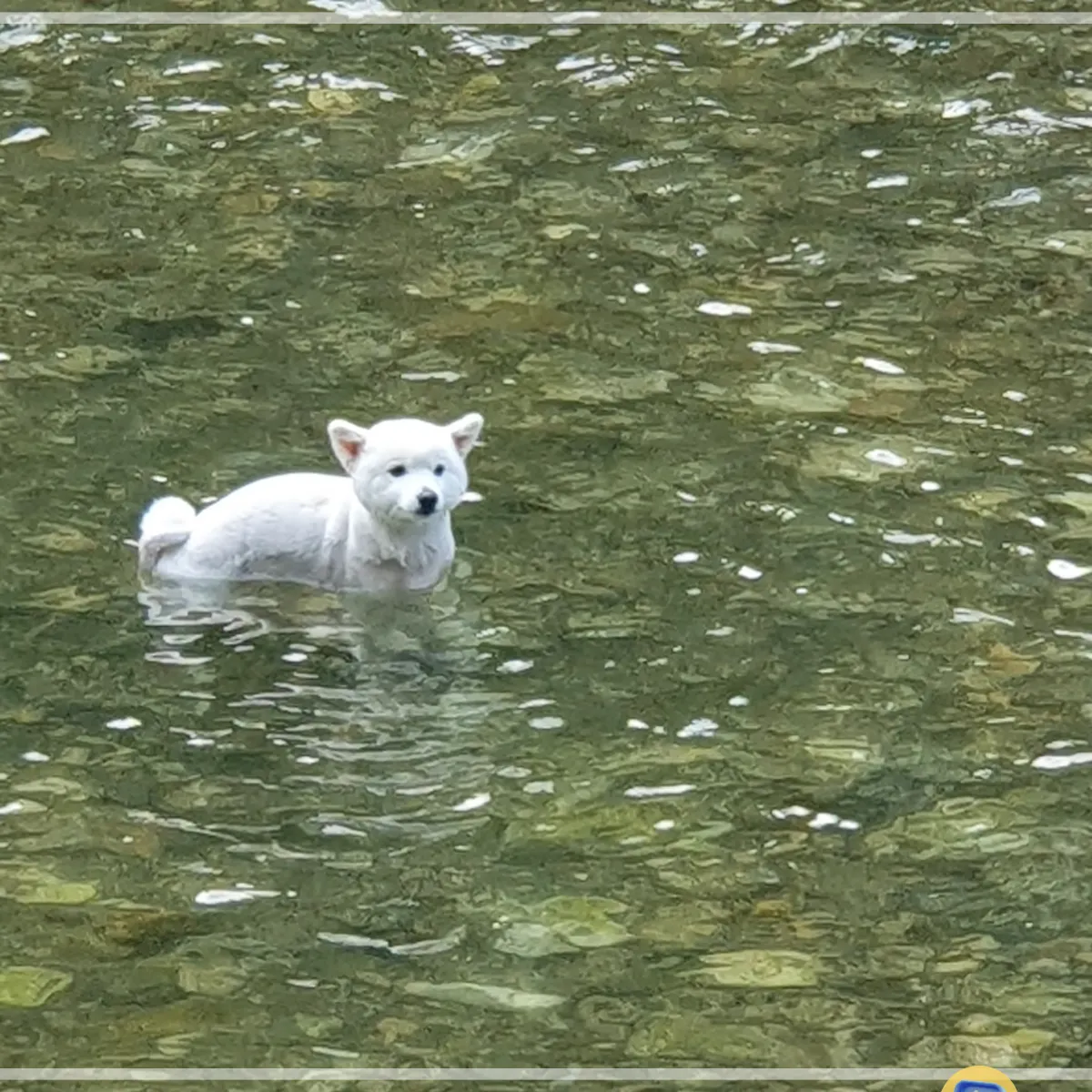 서울-근교-계곡-추천-닭백숙-여름-피서지-휴양지-추천